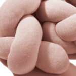 PLETENICA ZA KREVETAC XL - Slika 2