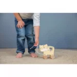 Pull along - tiger - Slika 2