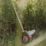 Guralica leptir - Fairy Garden - Slika 4