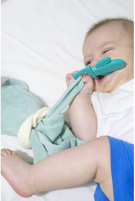 BABYJEM IGRACKA SWEET BEAR SA GLODALICOM  - GREEN