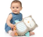 KIDS II INGENUITY PLISANA IGRACKA - NALLY THE OWL 12477 0M+ - Slika 7