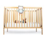 KIDS II INGENUITY PLISANA IGRACKA - NALLY THE OWL 12477 0M+ - Slika 5