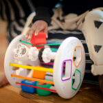 KIDS II BABY EINSTEIN IGRACKA SORTER ZEN & CAL’S PLYGROUND 12493 - Slika 3