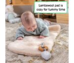 KIDS II INGENUITY LEZALJKA EVERY SEASON™ - WESLEY 16855 0-30m (MAX 18kg) - Slika 3